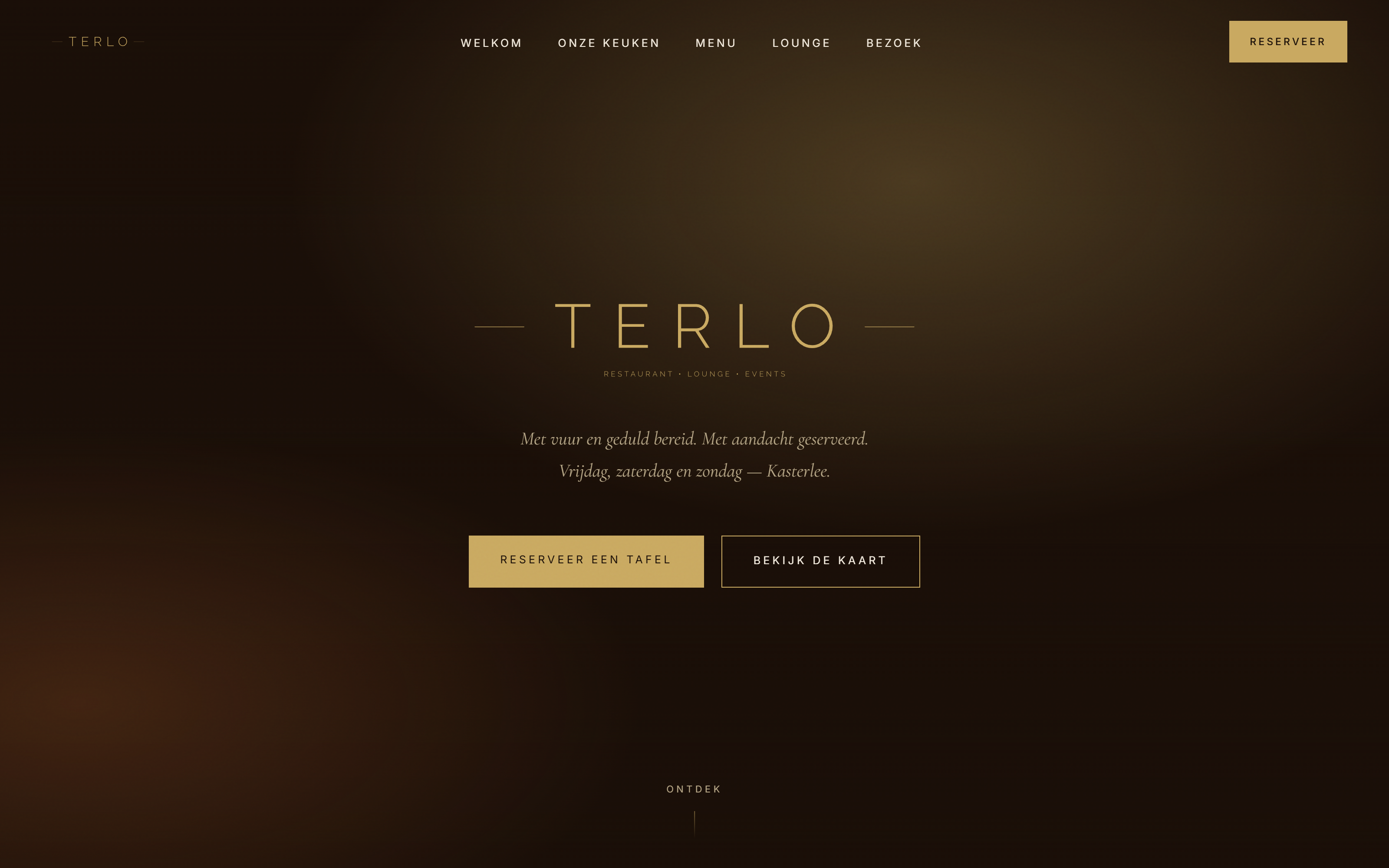 Terlo website door Altex Agency, desktop